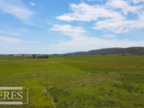 Campo Agrícola Ganadero 110ha Maldonado