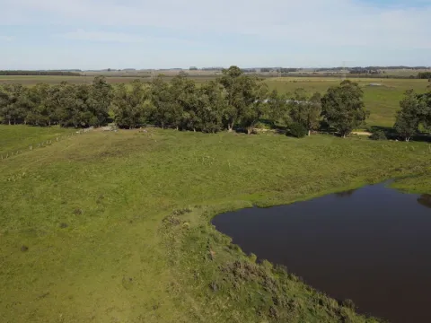 Chacra / Campo 270 ha en Rocha