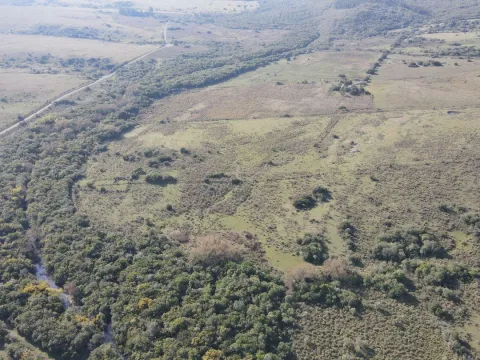 Campo de 55ha en Maldonado