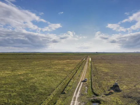 Venta campo 740 hás Rocha agrícola ganadero R 7085