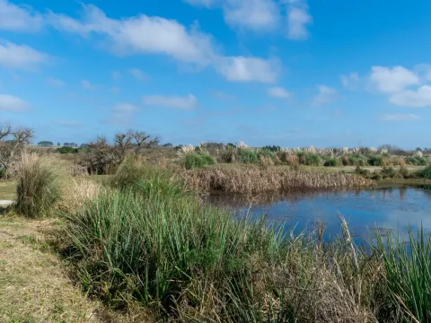 Venta chacra 37has c/casa ycosta de arroyo en Jose Ignacio