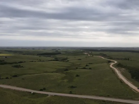 Campo de 42ha Altos de José Ignacio, Garzón