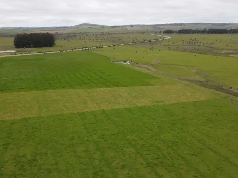 Campo Ganadero en Rocha 350ha