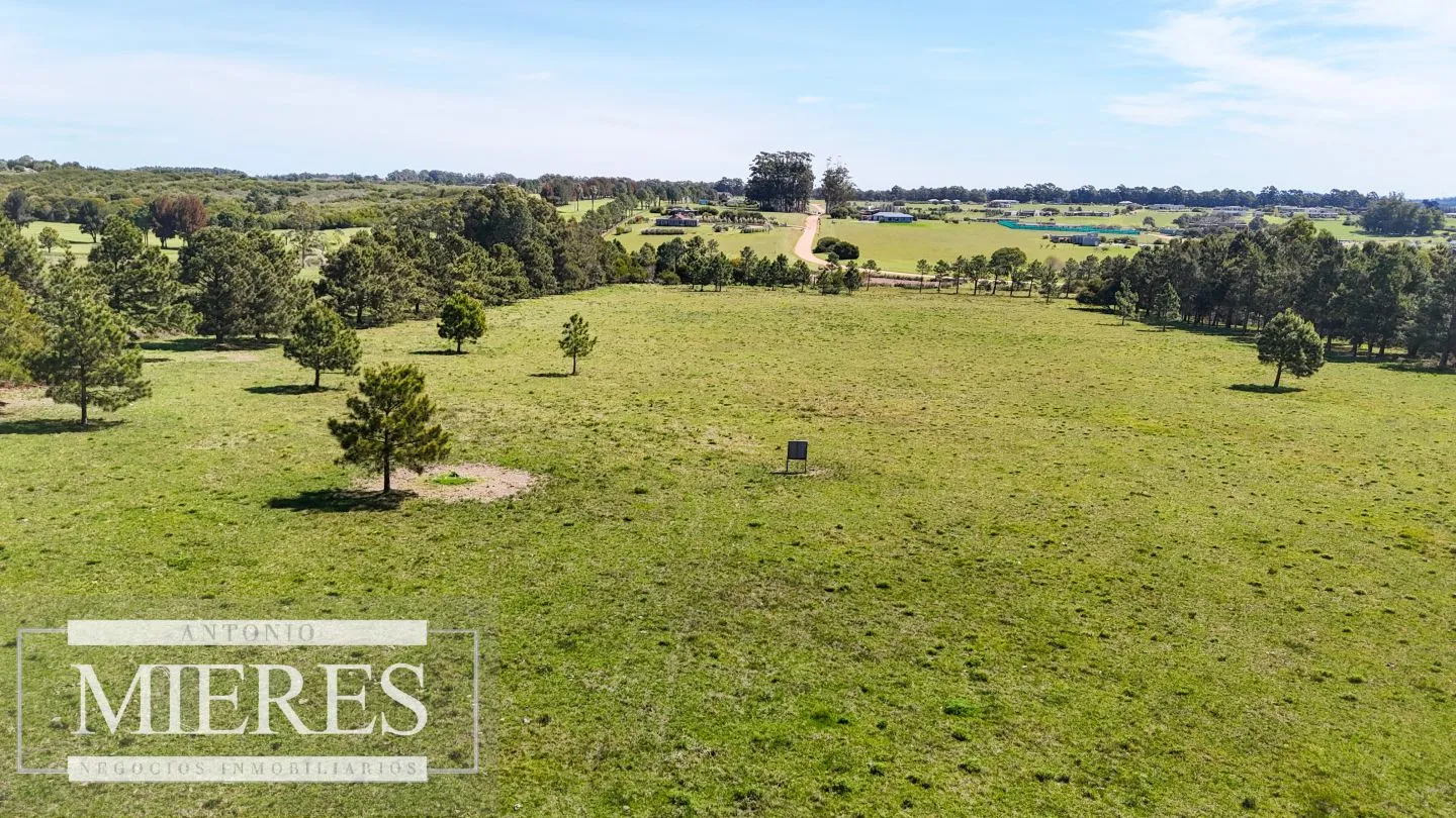 Venta Chacra 5 HAS - Ruta 104 — foto 4