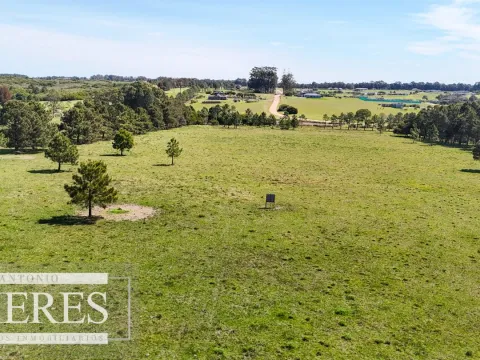 Venta Chacra 5 HAS - Ruta 104 — foto 4