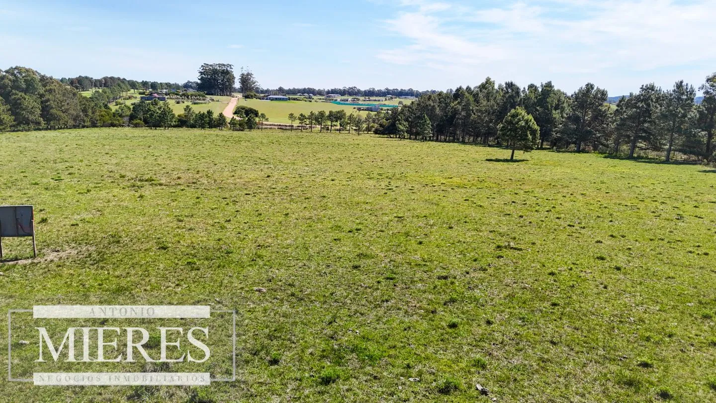 Venta Chacra 5 HAS - Ruta 104 — foto 6