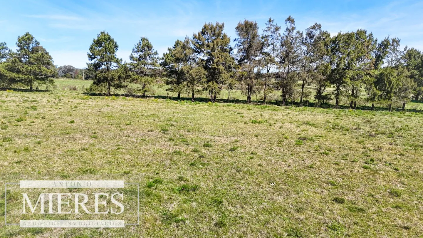 Venta Chacra 5 HAS - Ruta 104 — foto 12