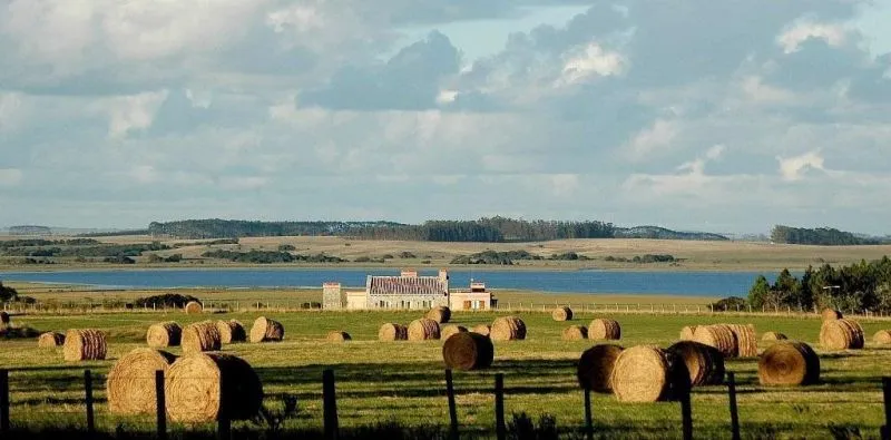 Chacra / Campo 5 ha en Maldonado — foto 25