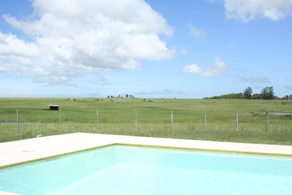 VENTA CHACRA 20,64 HAS CASA 3 DORM C/PISCINA MANANTIALES — foto 6