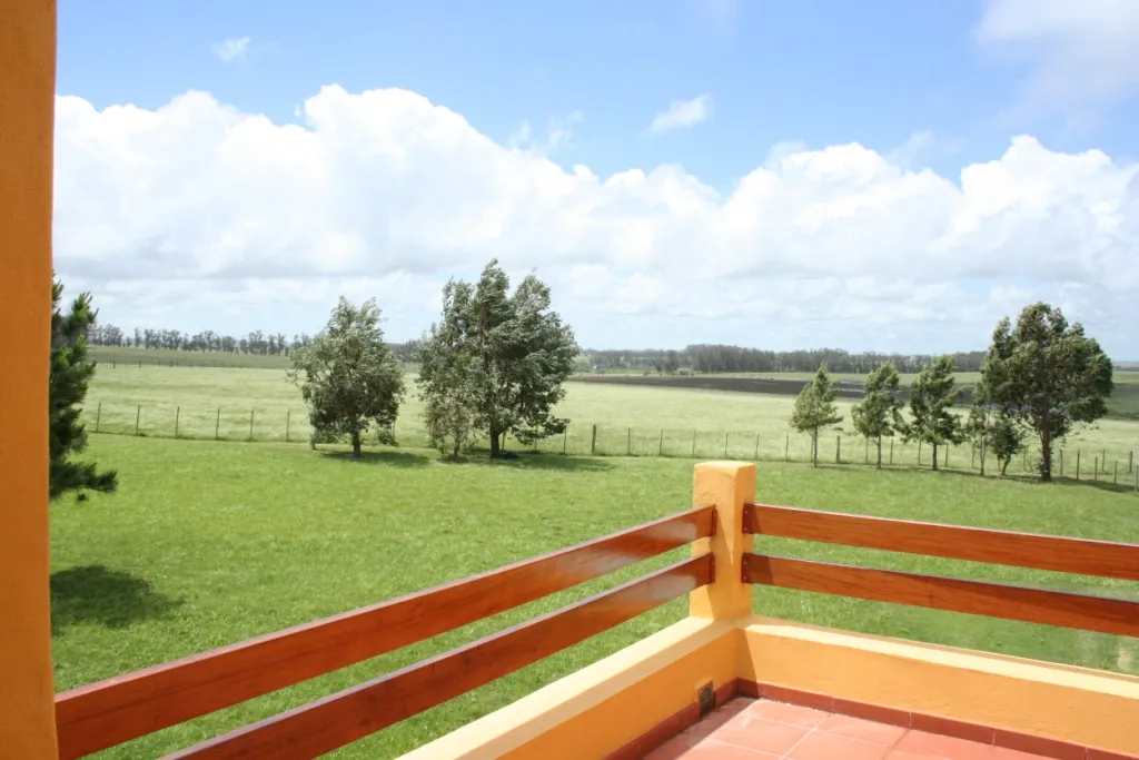 VENTA CHACRA 20,64 HAS CASA 3 DORM C/PISCINA MANANTIALES — foto 16