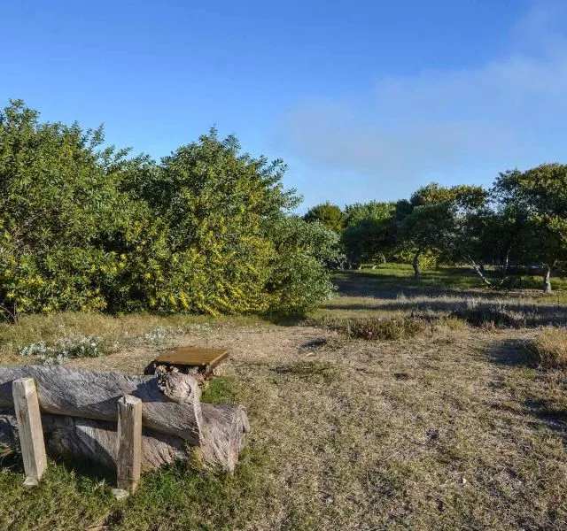 Alquiler casa 5 dorm en Arenas de Jose Ignacio frente al mar — foto 30
