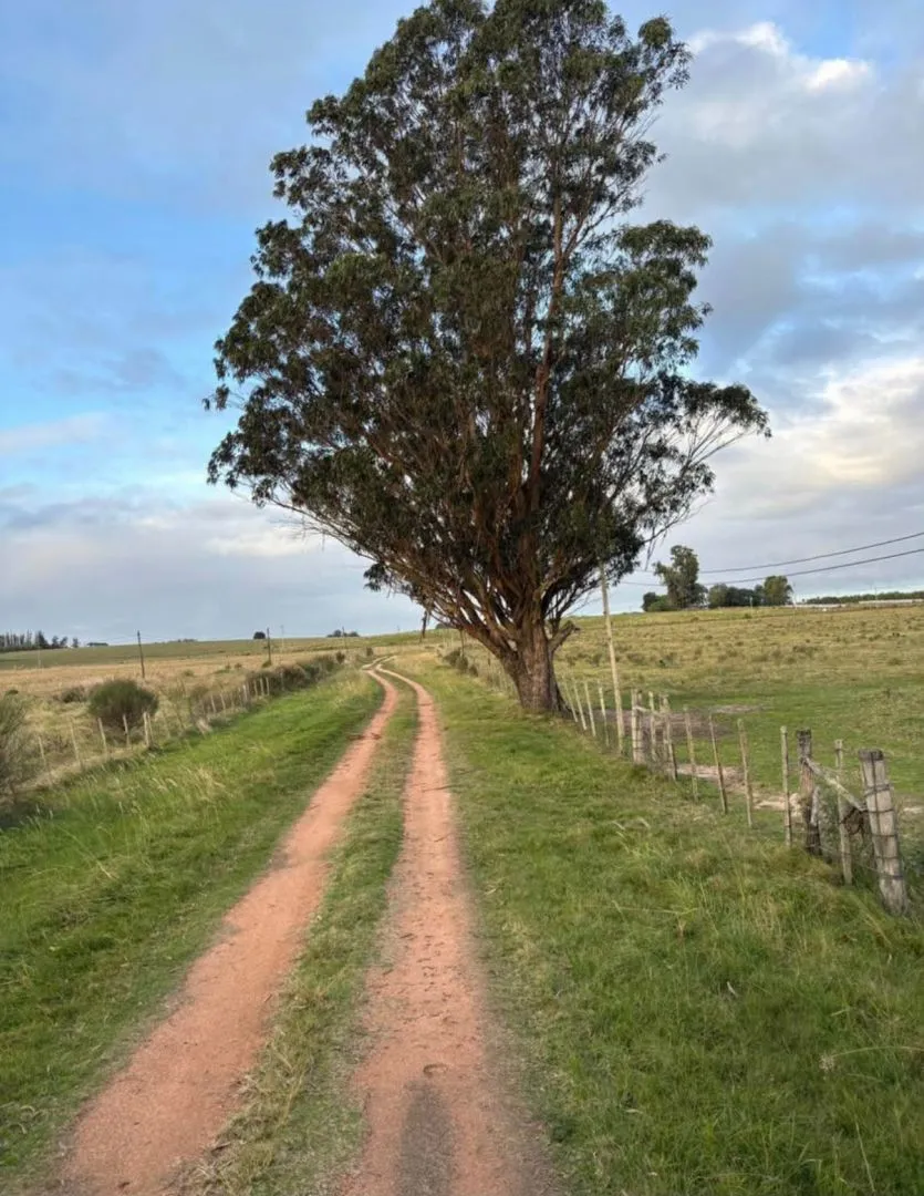 Chacra / Campo 5 ha en José Ignacio — foto 1