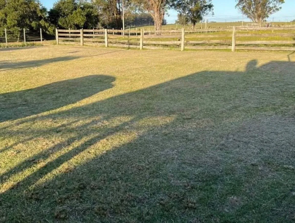Chacra / Campo 5 ha en José Ignacio — foto 2