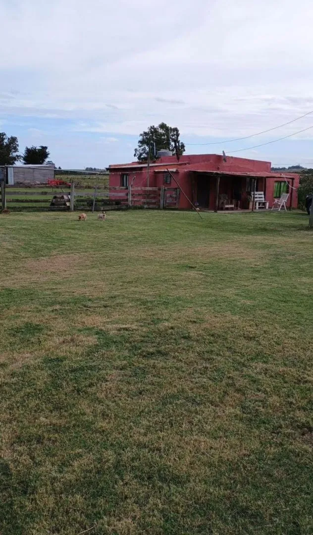 Chacra / Campo 5 ha en José Ignacio — foto 3