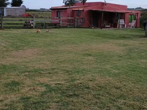 Chacra / Campo 5 ha en José Ignacio — foto 3