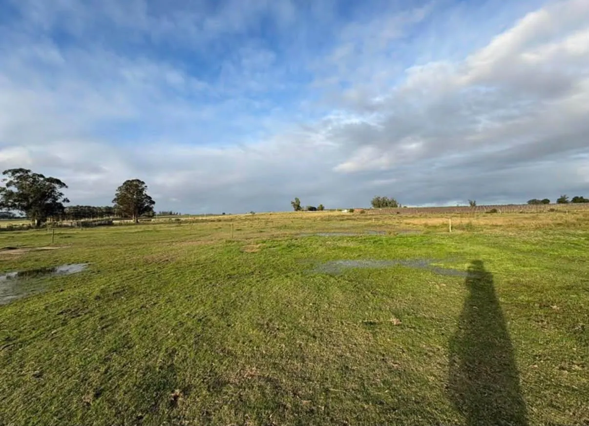 Chacra / Campo 5 ha en José Ignacio — foto 4
