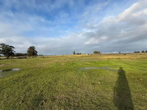 Chacra / Campo 5 ha en José Ignacio — foto 4