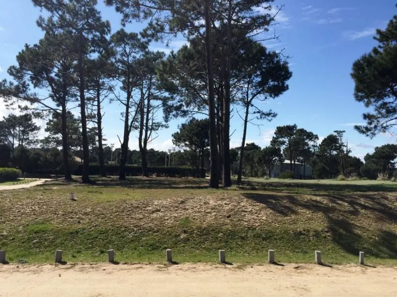 Lote en venta de 1000m2 en barrio privado Pinar del Faro — foto 16