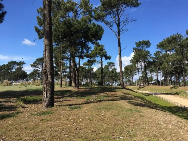 Lote de 1000m2 en venta en barrio Pinar del Faro — foto 12