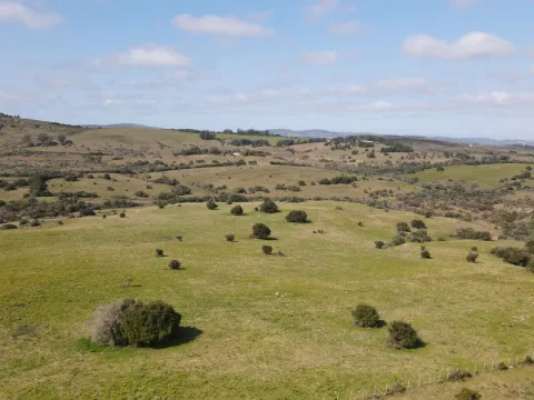 Establecimiento completo de 51ha Pueblo Edén ref 7082