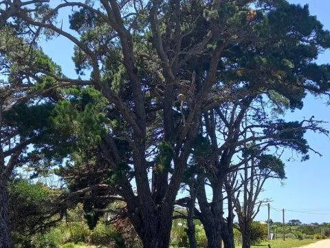 Terreno en La Barra